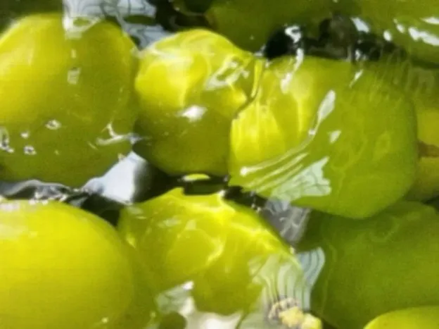 AI Rauschunterdrücker