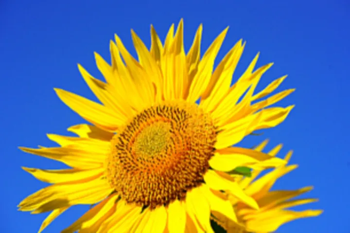 Natural photo enhancement without smoothing